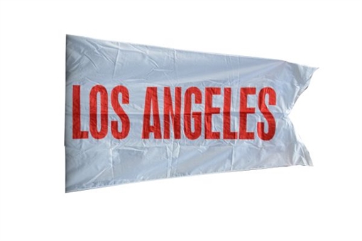 Los Angeles Divisional Standing Flag from Yankee Stadium